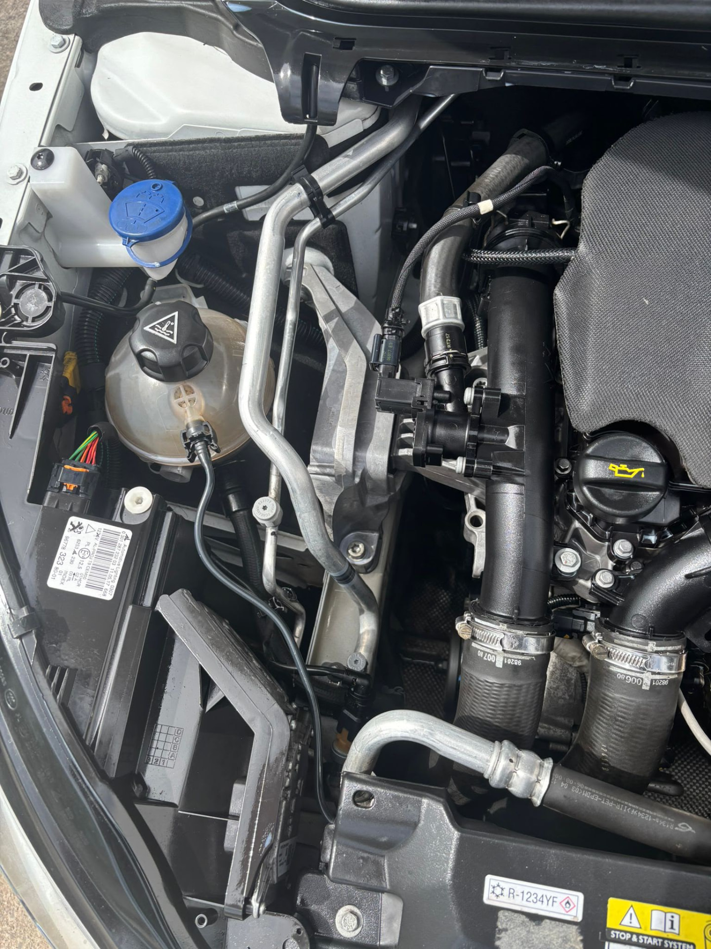 Limpeza detalhada de compartimento do motor — lavagem automóvel nos Açores